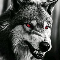 .khalid.biwasfih