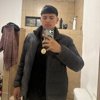 dolfo5.3