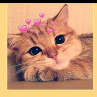 gabriellavictoria647