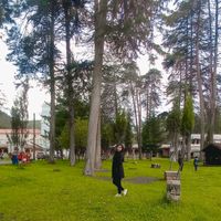 yane_huacho