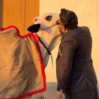 original sound - farrukhcattlefarm1