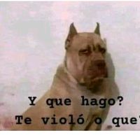 .gigi.x3
