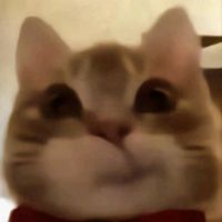 yazminlegaspicreaciones