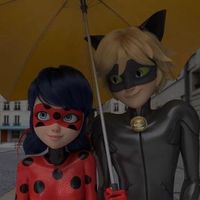 __ladybug.and.catnoir