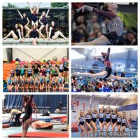 cygnus.gymnasts