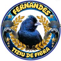 tiziudefibrafernandes