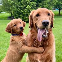 FIVE MORE MINUTES by SCOTTY MCCREERY