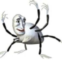 spiderus.fan.forever