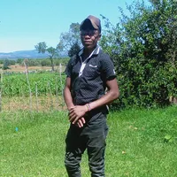 original sound - katwai