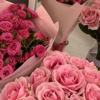 beautyqueen_964