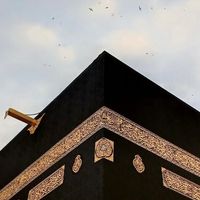 awais_typist8