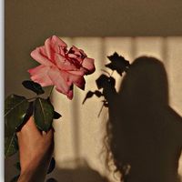dgmcortez