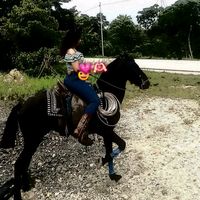 lilydubon502