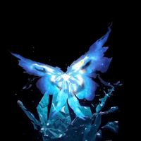 abby_51208