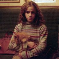 yelenasvestwithpocketss