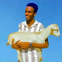 original sound - getami_nigusu