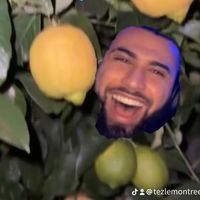 tezlemontree