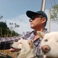 original sound - q12302123