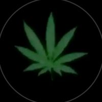 _chriiss.xn7_