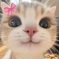 Audio para migajeras