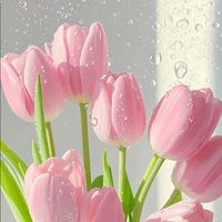 alonesan_24