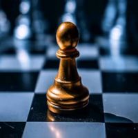 suara asli - Dolphin