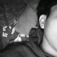 musica_77_11