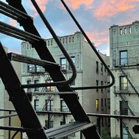 Agony x Emma Chamberlain