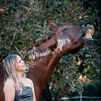 soulhorse.abendstern
