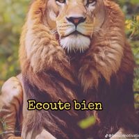 son original