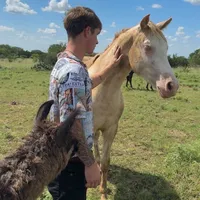 original sound - conner_4099