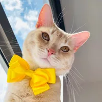 original sound - the_guero_and_martin