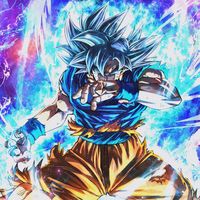 user7055519901061