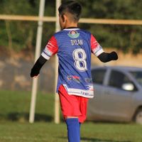 ferreira.072