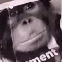 original sound - peepeepoohpoohcheck7