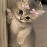 its_baharamiri