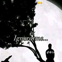 aries.miltongarcia1767