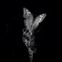 original sound - nassumdaria