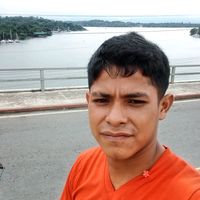 maynor.524