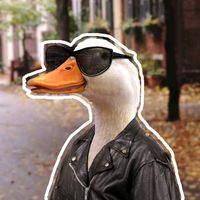 duckingmusicvideos