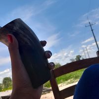 hinpolitamorel