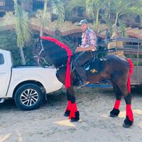 darwinzelaya99jr