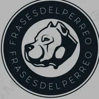 original sound - frasesdelperreo