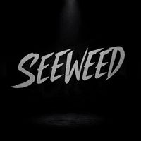 _seeweed_