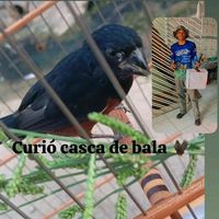 ronilsonpinto1