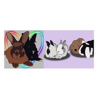 my.bunny.life._