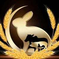agrounion_palmeri