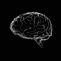 original sound - mestremente