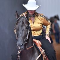 supremacyshowhorses