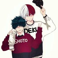 shototodoroki_1a